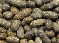 dried brownish Trogopterus Dung