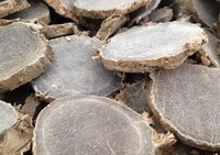 herb slices of Zedoary Rhizome