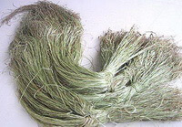 Ramie prepared from Boehmeria nivea L.Gaud