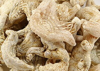pale yellow dried herb tubers of Common Bletilla Tuber
