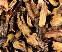 brownish dried herb slices and segments of Radix Rumecis Patientiae