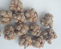 eleven dried herb taproots of Sanchi