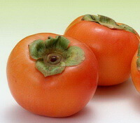 orange-colored mature persimmon fruits of Diospyros kaki Thunb.