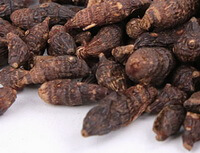 dried brownish herbs of Nutgrass Galingale Rhizome are piled together