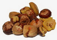 dried herb seeds of Semen Aesculi