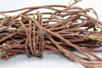 brownish crude herb stems of Fleece-flower Stem