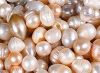 a pile of glossy grains of Pearl