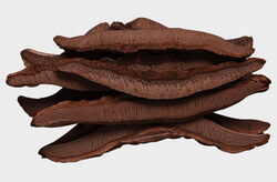 herb slices of Purple Ganoderma