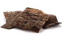 Cortex Eucommiae
