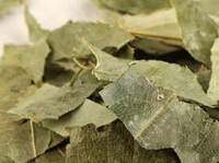 pale green dried prepared leaf pieces of Epimedium sagittatum in a pile