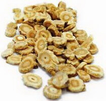 many yellow herb slices of Coastal Glehia Root are piled together