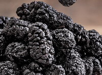 dried black purple berries of mulberry fruit