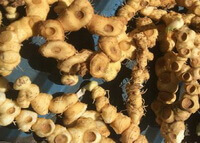 yellow brown fresh rhizome of Polygonatum cyrtonema Hua