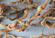 Rhizoma Polygonati Odorati