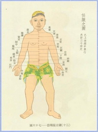 The Conception Vessel Diagram