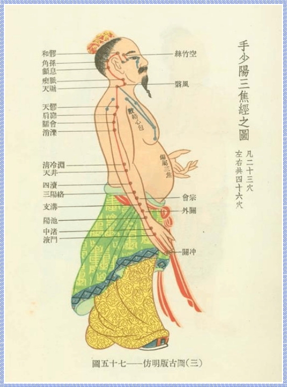 Diagram of Triple Energizer Meridian of Hand Shaoyang