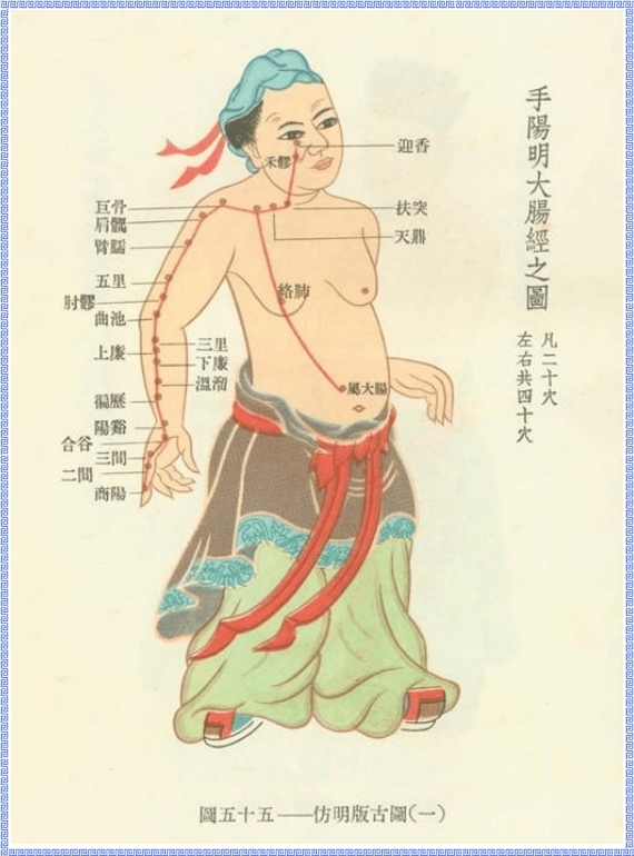 The Large Intestine Meridian Diagram