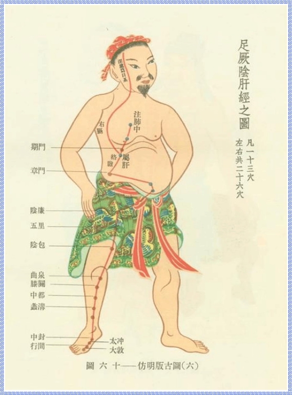 Diagram of Liver Meridian of Foot Jueyin
