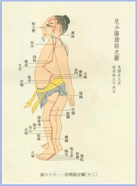 The Gallbladder Meridian Diagram