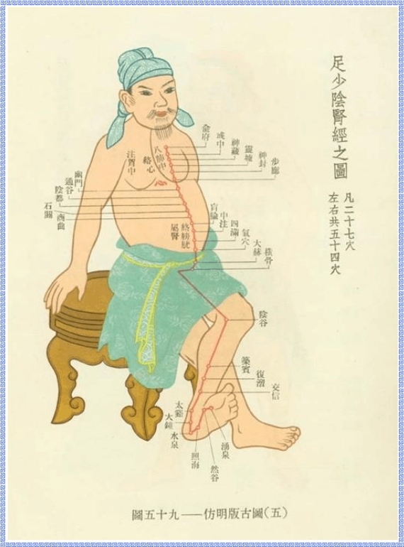 Diagram of Kidney Meridian of Foot Shaoyin