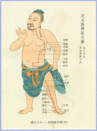 The Spleen Meridian Diagram