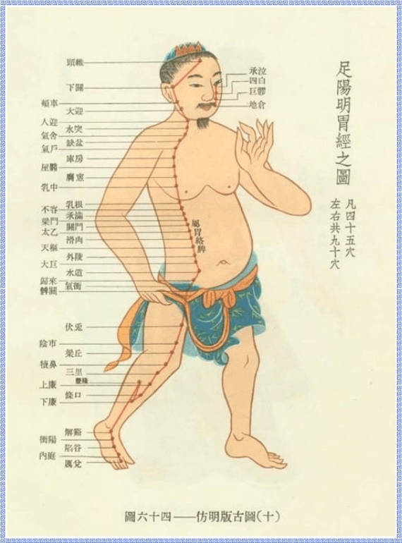 Diagram of Stomach Meridian of Foot Yangming