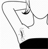 physiological feature:axillary hairs