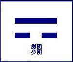 ShaoYin Constitutional Pattern