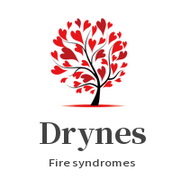 Dryness and fire syndromes