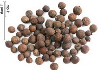 Allspice