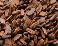 Pycnogenol