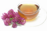 Red Clover