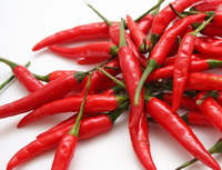 Red Pepper