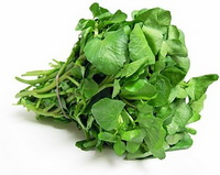 green herbs of Watercress in a bundle