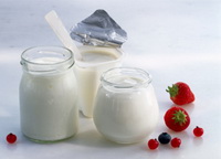 Yogurt