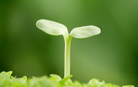 Health Preservation:Common Knowledge.